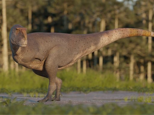 Hallan en la Patagonia argentina una nueva especie de dinosaurio carnívoro que vivió hace 69 millones de años