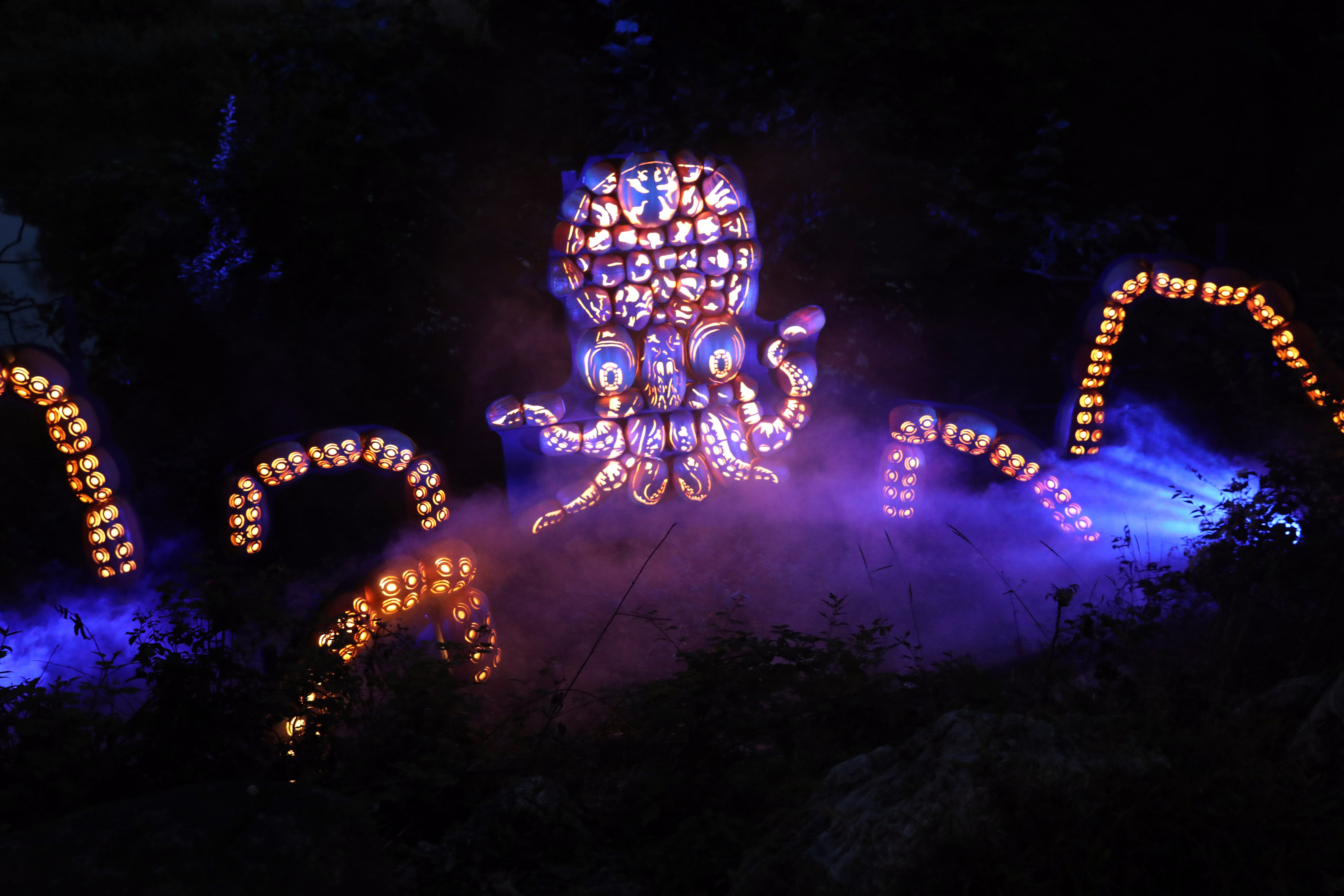 A peek inside and walk through the Great Jack-O’Lantern Blaze: What to expect