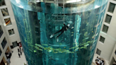 Videos: Enorme acuario con 1.500 peces explota en un famoso hotel de Berlín