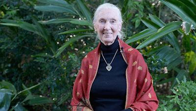 The Climate 100 List: At 90, primatologist Jane Goodall is still on her lifelong crusade to protect nature