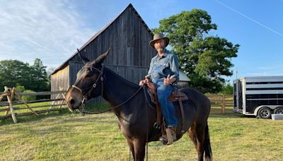 Tom Green returns to Canada, buys a farm