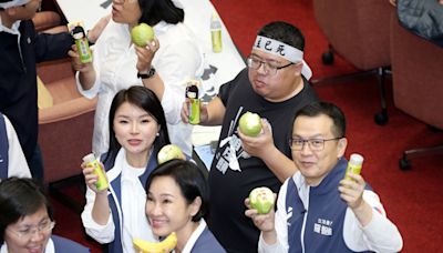 梅粉配芭樂！表決戰意外上演藍綠「溫馨」一幕 - 政治