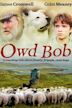 Owd Bob