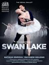 Swan Lake