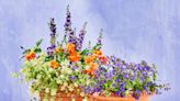 Plant Your Easiest-Ever Spring Pots With These Colorful Container Garden Recipes