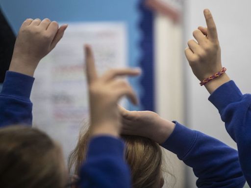 Devon's top primary schools and the two where every pupil is meeting or beating standards