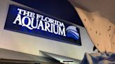 Snow Days at The Florida Aquarium opens this weekend