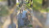 Vecinos de Gonnet en jaque por una pérdida de agua - Diario Hoy En la noticia
