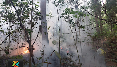 ¡Atención, vacacionistas! Bosque de Prusia estará cerrado hasta nuevo aviso | Teletica