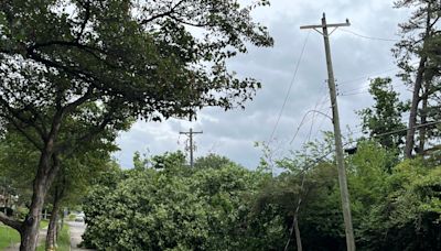 Downed tree causes West Side road closure as thousands are without power after storms