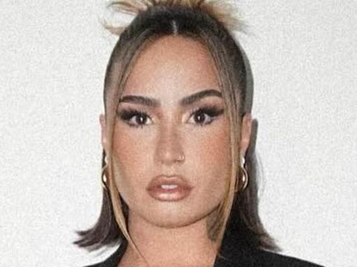 Demi Lovato looks incredible in a faux leather corset for concert