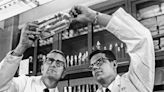 Dr. Paul Parkman, who helped to eliminate rubella, dies at 91 - The Boston Globe