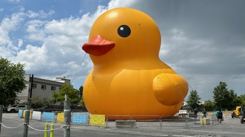 World's Largest Rubber Duck At Wet 'N Wild Emerald Pointe This Weekend