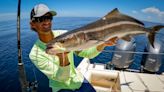 Redfish cannot be harvested as of Sept. 1; Snook season is open for business