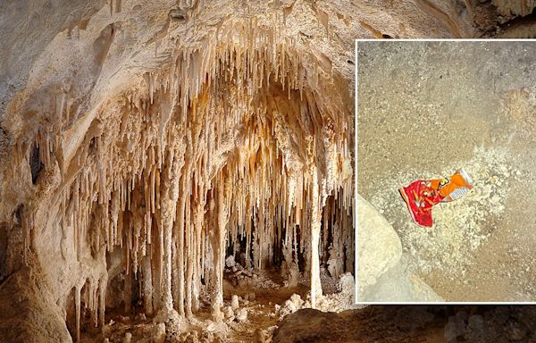 National Park Service blames bag of Cheetos for disrupting entire Carlsbad Caverns ecosystem