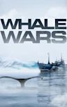 Whale Wars