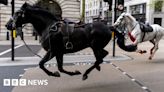 Watch: Runaway horses filmed racing through central London