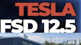 Tesla FSD 12.5 Starts Employee Rollout | NextBigFuture.com