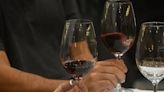 Los seis secretos de los sommeliers para disfrutar el vino al máximo | Aprendiendo