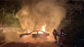 新竹生命園區車輛竄火 驚悚！2男被活活燒成焦屍 - 社會