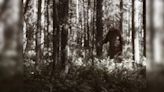 Bigfoot or Himalayan Yeti? Human-like wild creature spotted in Louisiana forest