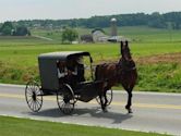 Amish