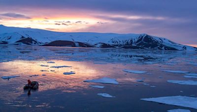 'We were in disbelief': Antarctica is behaving in a way we've never seen before. Can it recover?