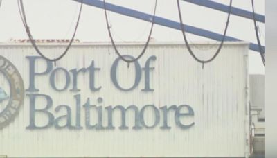 Over half of Baltimore County small businesses lost revenue due to Key Bridge collapse, report says