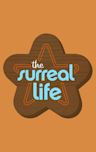 The Surreal Life - Season 2