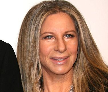 Barbra Streisand's Iconic Ice Cream Makes Instant Coffee The Star