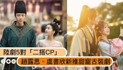 再次點燃螢幕！陸劇5對「二搭CP」趙露思＆劉宇寧《珠簾玉幕》、虞書欣＆丁禹兮《永夜星河》