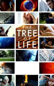 The Tree of Life (film)