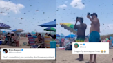 Apocalyptic Scenes Emerge From US As Enormous Dragonflies Swarm A Beach; Watch