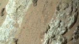 Nasa rover discovers 'possible' signs of life on Mars