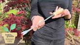 This weeding tool has rid my yard of dandelions — and it's under $20