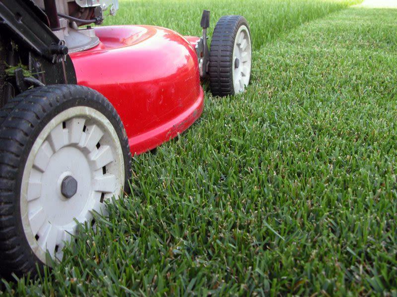 Study: Two Hampton Roads cities cited in worst city for grass allergies