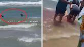 Chilling shark attack vid shows beast prowling as victim is hauled from sea