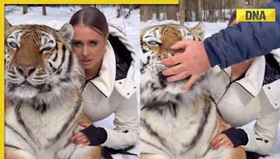 Viral video: Woman tries to pose with a tiger, what happens next will shock you