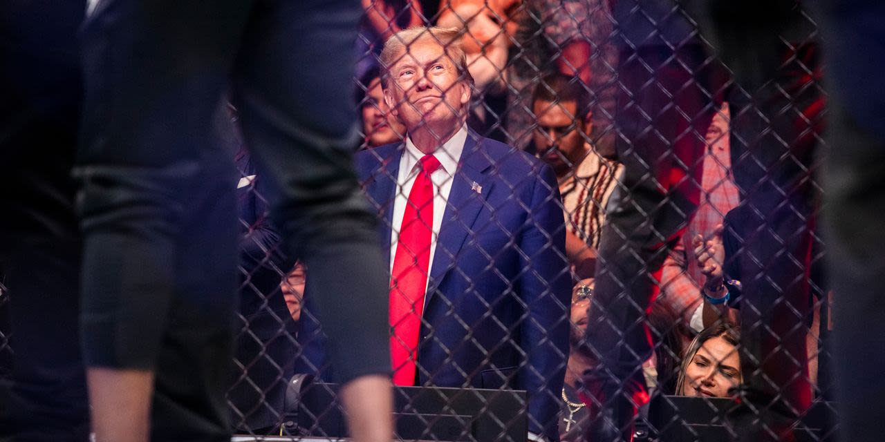 Donald Trump Is a Heavyweight With Raucous UFC Crowd
