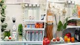 The inside of this TikTok-famous fridge is decorated with plants and a framed photo