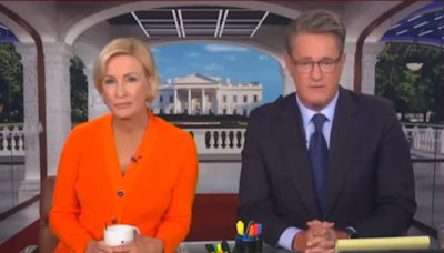 ‘Very disappointed’ Morning Joe hosts slam their own network for pulling show off air after Trump shooting