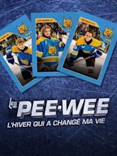 Les Pee-Wee 3D : L'hiver qui a changé ma vie