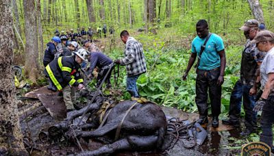 Horses Trapped in 'Waist-Deep' Connecticut Mud Saved by Nearly 40 First Responders After 5-Hour Rescue Mission