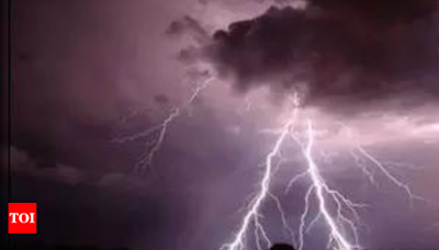 12 die in Bihar lightning strikes | India News - Times of India