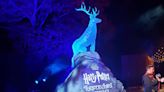 Discover Magical Creatures at the 'Harry Potter: A Forbidden Forest' Experience