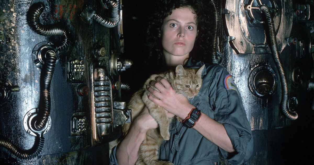 Remembering Jonesy, the best-written cat in film, on this Alien Day