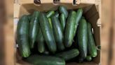 Cucumber Salmonella Recall: Veggies shipped to MD & VA recalled over potential contamination