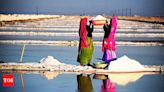 Sambhar Lake boundary demarcation and salt extraction limits | Jaipur News - Times of India