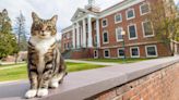 Vermont university grants beloved campus cat an honorary degree