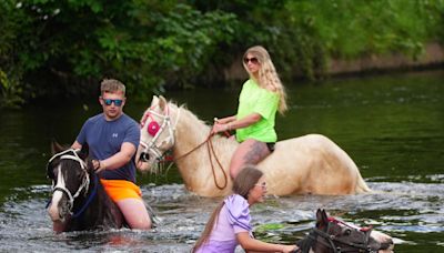 'A stain on this fair' - Darlington gypsy leader on death of horse at Appleby